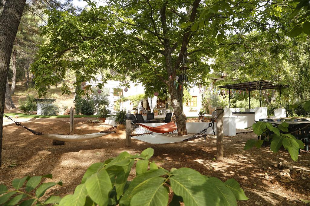 Cortijo De Ramon Guest House Cortijos Nuevos Exterior photo